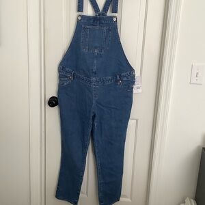 Isabel Maternity by Ingrid & Isabel Blue Denim Jumpsuit